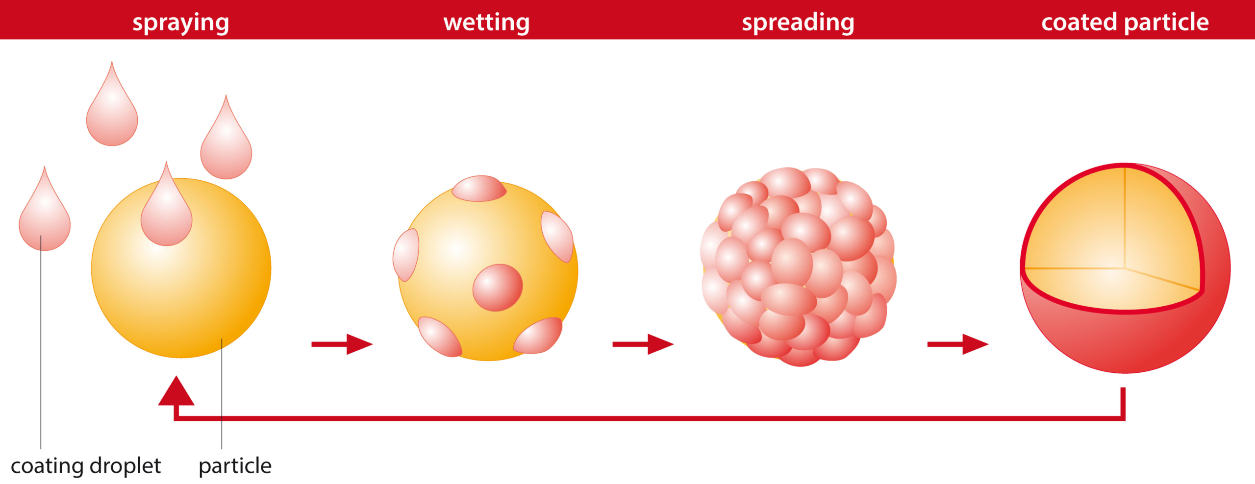 Glatt principle of particle film coating in the fluidized bed